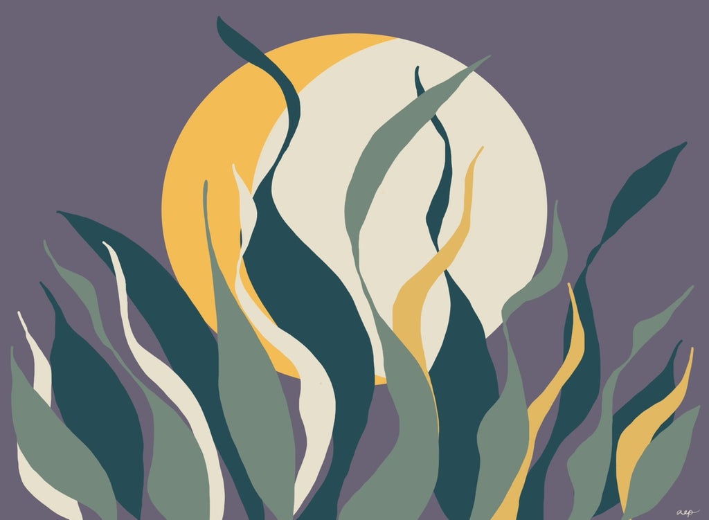 Snake Plant Moon Rise 24x32 Large Framed Canvas